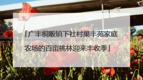 广丰桐畈镇下社村果丰苑家庭农场的百亩桃林迎来丰收季