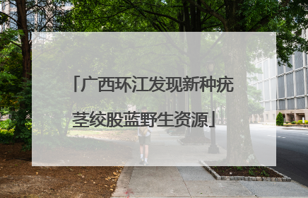 广西环江发现新种疣茎绞股蓝野生资源