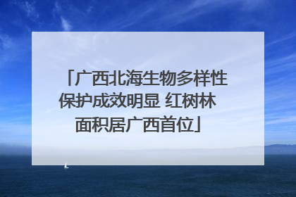 广西北海生物多样性保护成效明显 红树林面积居广西首位