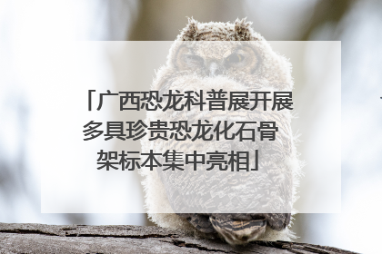 广西恐龙科普展开展 多具珍贵恐龙化石骨架标本集中亮相