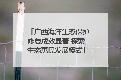 广西海洋生态保护修复成效显著 探索生态惠民发展模式