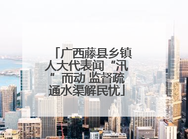 广西藤县乡镇人大代表闻“汛”而动 监督疏通水渠解民忧