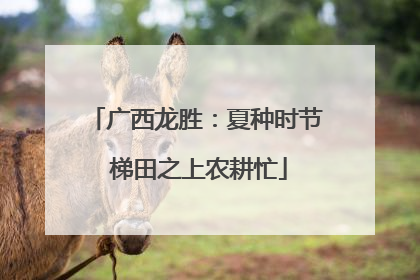 广西龙胜：夏种时节 梯田之上农耕忙