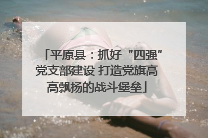 平原县：抓好“四强”党支部建设 打造党旗高高飘扬的战斗堡垒
