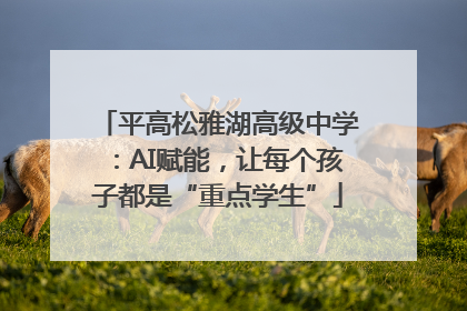 平高松雅湖高级中学：AI赋能，让每个孩子都是“重点学生”