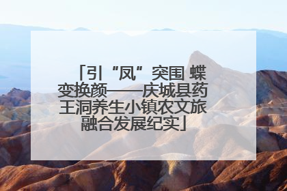 引“凤”突围 蝶变换颜——庆城县药王洞养生小镇农文旅融合发展纪实