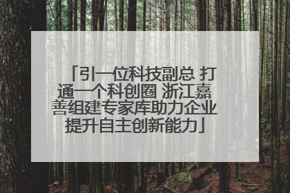 引一位科技副总 打通一个科创圈 浙江嘉善组建专家库助力企业提升自主创新能力