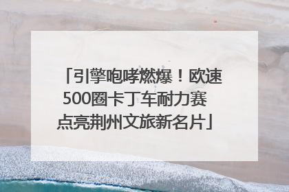 引擎咆哮燃爆！欧速500圈卡丁车耐力赛点亮荆州文旅新名片