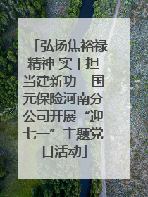 弘扬焦裕禄精神 实干担当建新功—国元保险河南分公司开展“迎七一”主题党日活动