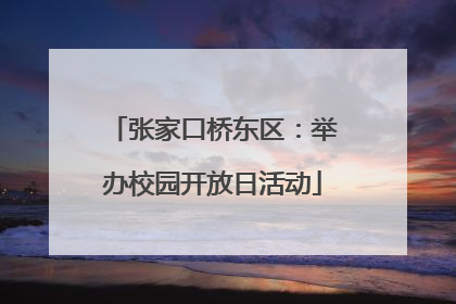 张家口桥东区：举办校园开放日活动