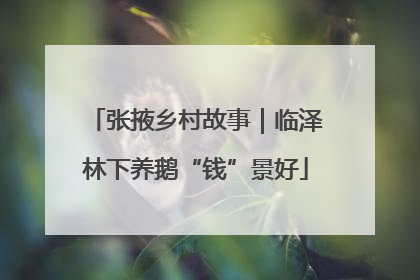 张掖乡村故事｜临泽林下养鹅“钱”景好