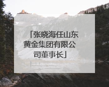 张晓海任山东黄金集团有限公司董事长