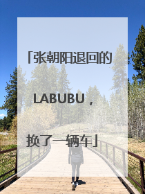张朝阳退回的LABUBU，换了一辆车