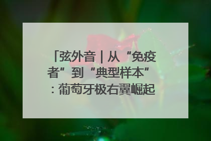 弦外音｜从“免疫者”到“典型样本”：葡萄牙极右翼崛起背后的欧洲困局