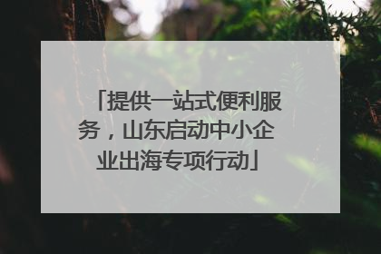 提供一站式便利服务，山东启动中小企业出海专项行动