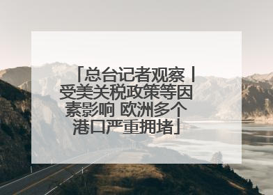 总台记者观察丨受美关税政策等因素影响 欧洲多个港口严重拥堵