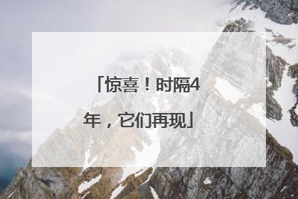 惊喜！时隔4年，它们再现