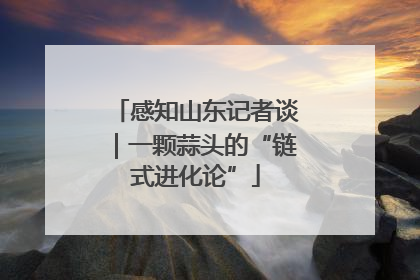 感知山东记者谈｜一颗蒜头的“链式进化论”