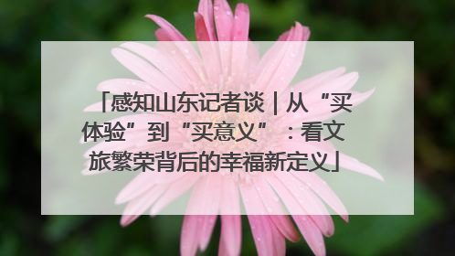 感知山东记者谈｜从“买体验”到“买意义”：看文旅繁荣背后的幸福新定义