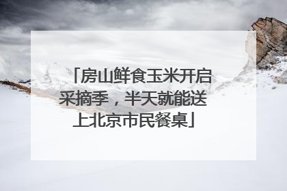 房山鲜食玉米开启采摘季，半天就能送上北京市民餐桌