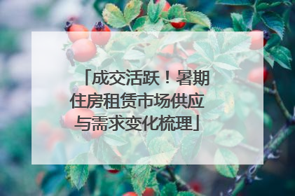 成交活跃！暑期住房租赁市场供应与需求变化梳理