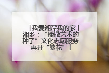 我爱湘潭我的家丨湘乡：“播撒艺术的种子”文化志愿服务再开“繁花”