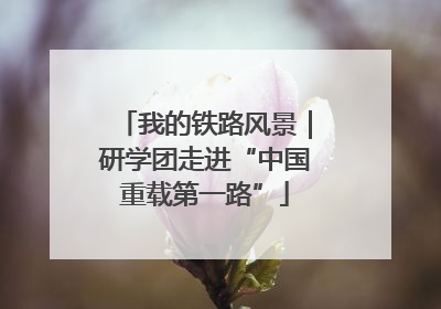 我的铁路风景｜研学团走进“中国重载第一路”