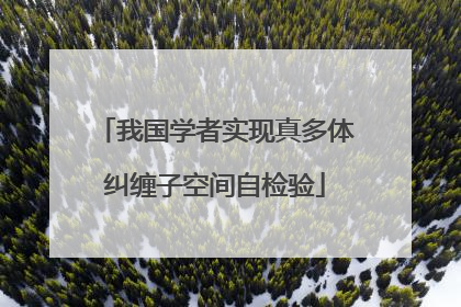 我国学者实现真多体纠缠子空间自检验