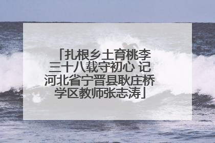 扎根乡土育桃李 三十八载守初心 记河北省宁晋县耿庄桥学区教师张志涛