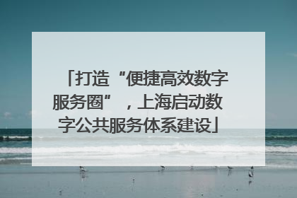 打造“便捷高效数字服务圈”，上海启动数字公共服务体系建设