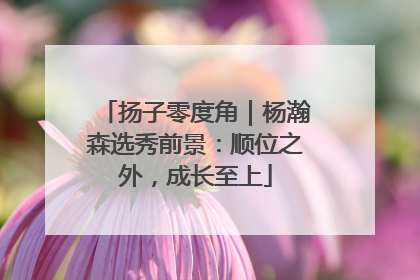 扬子零度角｜杨瀚森选秀前景：顺位之外，成长至上
