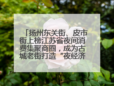 扬州东关街、皮市街上榜江苏省夜间消费集聚商圈，成为古城老街打造“夜经济”的样本