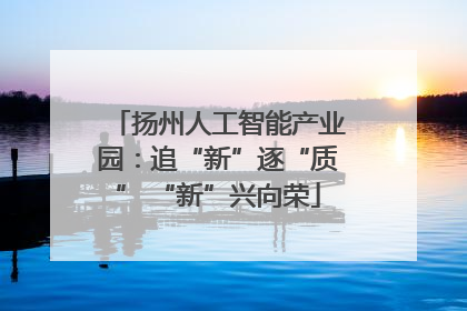 扬州人工智能产业园：追“新”逐“质” “新”兴向荣