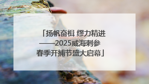 扬帆奋楫 缪力精进——2025威海刺参春季开捕节盛大启幕