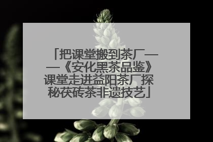 把课堂搬到茶厂——《安化黑茶品鉴》课堂走进益阳茶厂探秘茯砖茶非遗技艺