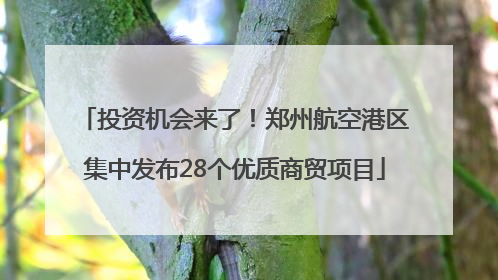 投资机会来了！郑州航空港区集中发布28个优质商贸项目