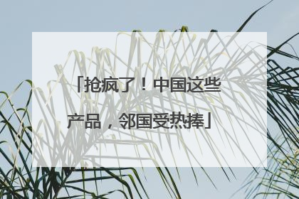 抢疯了！中国这些产品，邻国受热捧