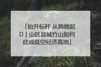 抬升标杆 从我做起⑭丨山区县城竹山如何建成低空经济高地