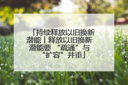 持续释放以旧换新潜能丨释放以旧换新潜能要 “疏通”与“扩容”并重