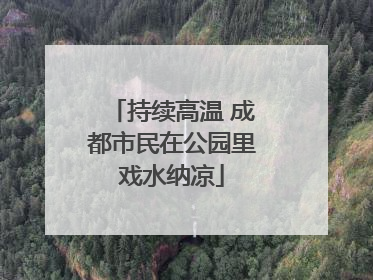 持续高温 成都市民在公园里戏水纳凉