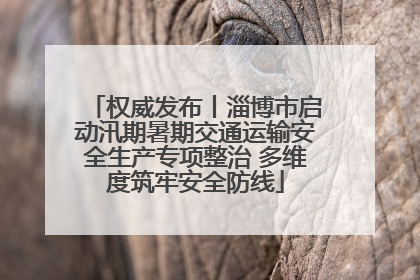 权威发布丨淄博市启动汛期暑期交通运输安全生产专项整治 多维度筑牢安全防线