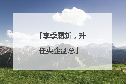 李季履新，升任央企副总