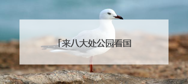 来八大处公园看国家级非遗项目展演