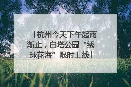 杭州今天下午起雨渐止，白塔公园“绣球花海”限时上线