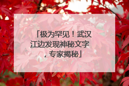 极为罕见！武汉江边发现神秘文字，专家揭秘