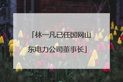 林一凡已任国网山东电力公司董事长