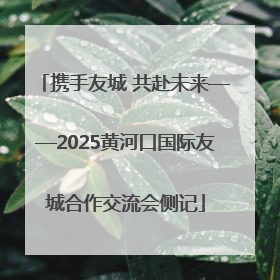 携手友城 共赴未来——2025黄河口国际友城合作交流会侧记