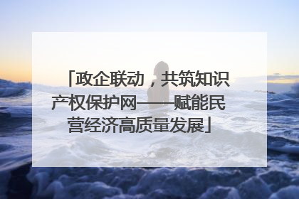政企联动，共筑知识产权保护网——赋能民营经济高质量发展