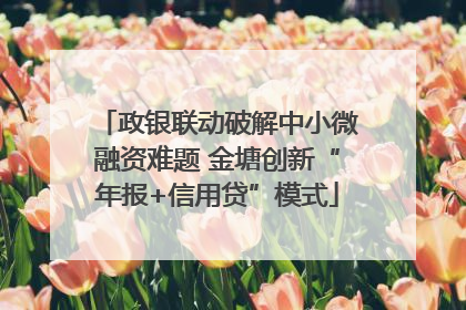 政银联动破解中小微融资难题 金塘创新“年报+信用贷”模式
