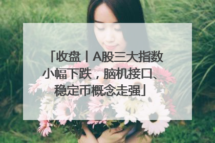 收盘丨A股三大指数小幅下跌，脑机接口、稳定币概念走强